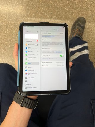 iPad Mini 256 GB + Cellular Gris Espacial.