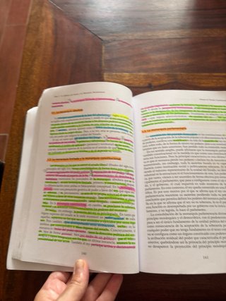 Manual de derecho constitucional