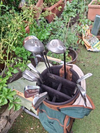 Borsa per mazze da golf verde
