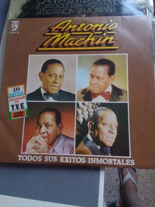 Lote 9 Vinilos Antiguos Pop Internacional y Latino