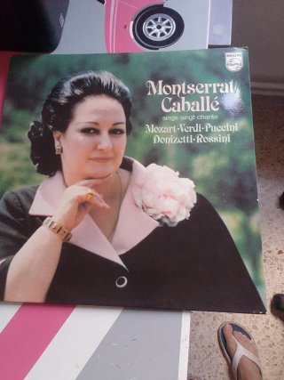Lote 9 Vinilos Antiguos Pop Internacional y Latino