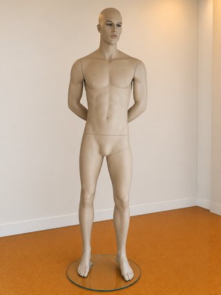 Maniquí profesional caballero
