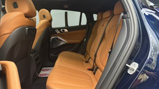 BMW X6 M50i 390 kW (530 CV)