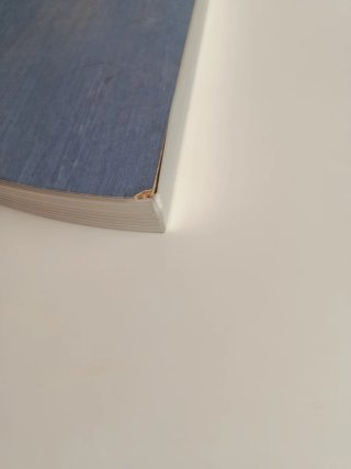 Leja azul