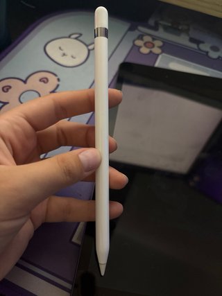 iPad 7ª Gen + Apple Pencil 1ª Gen