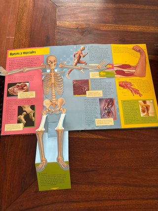 El cuerpo humano