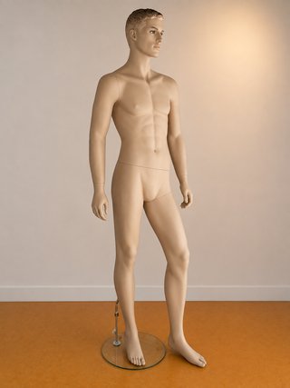 Maniquí profesional Caballero