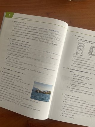 Netzwerk neu A2 Übungsbuch mit Audios