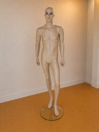 Maniquí profesional caballero