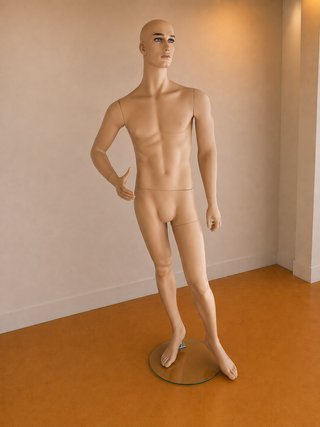 Maniquí profesional caballero