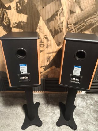 Altavoces Monitores PureAcoustic