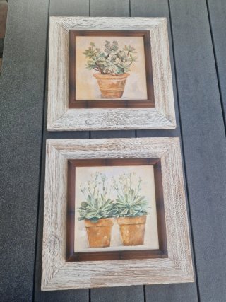 Pareja de cuadros de plantas en maceta