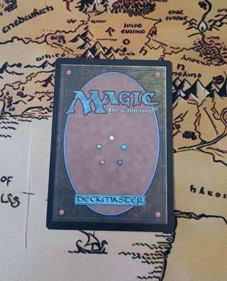 CARTA MAGIC - SNAP