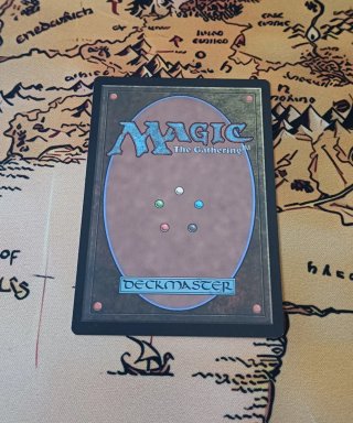 CARTA MAGIC - SNAP