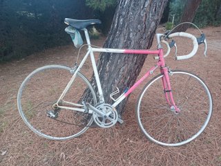 Bicicleta GAC Clásica para Restaurar
