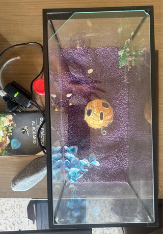 Pecera pequeña con accesorios