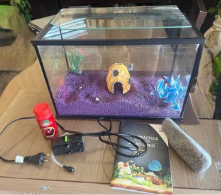 Pecera pequeña con accesorios