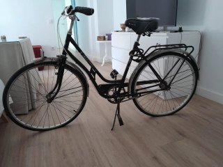 Bicicleta Paseo