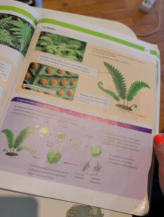 BIOLOXIA E XEOLOXIA 1 ESO CONTRUINDO MUNDOS