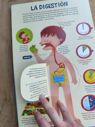 El cuerpo humano