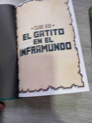 El gatito que sigue perdido en el inframundo