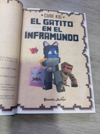 El gatito que sigue perdido en el inframundo