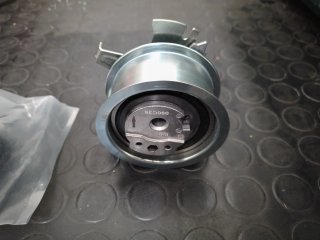 Polea tensora y rodillo 1.9 TDI,FORD,AUDI,VW,SKODA