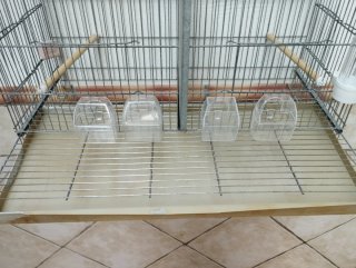 Gabbia per uccelli