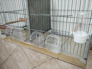 Gabbia per uccelli