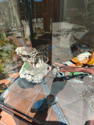 Acuario Pecera Terrario 200 litros esquinas curvas
