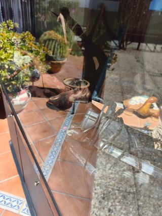 Acuario Pecera Terrario 200 litros esquinas curvas