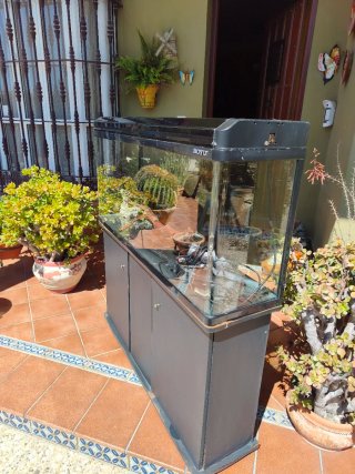 Acuario Pecera Terrario 200 litros esquinas curvas