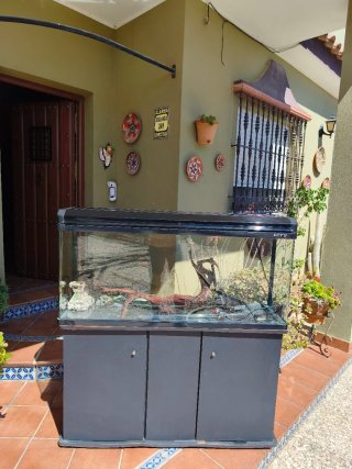 Acuario Pecera Terrario 200 litros esquinas curvas