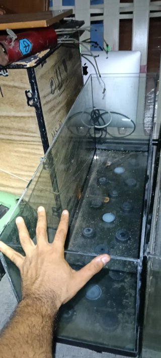 Acuarios 100 cm