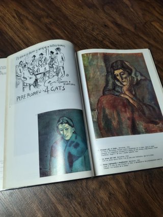 Libro Picasso