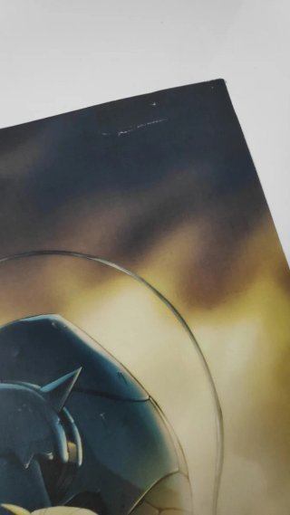 Póster Fullmetal Alchemist
