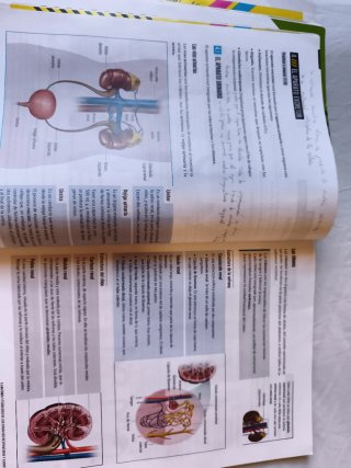 Biología y Geología 3, Secundaria, Fanfest Edel...