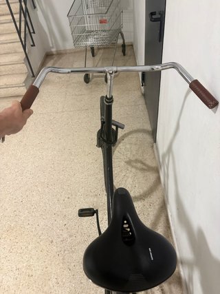 Bicicleta Clásica Holandesa Negra