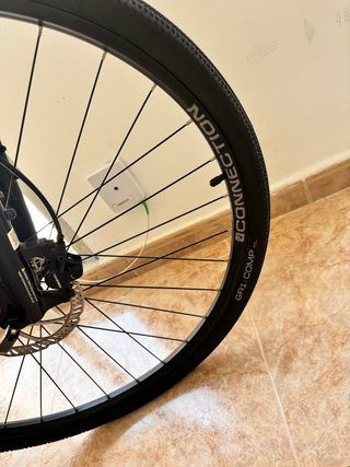 Bicicleta Trek Dual Sport 2