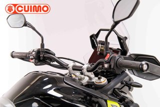TRIUMPH TIGER 900 RALLY PRO