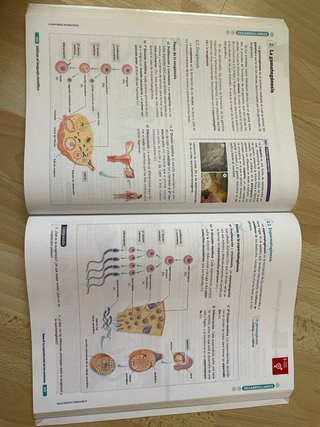 BIOLOGIA GEOLOGIA Y CIENCIAS AMBIENTALES 1 (CER)