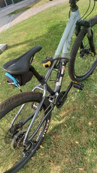 Bicicleta Liv MTB Mujer