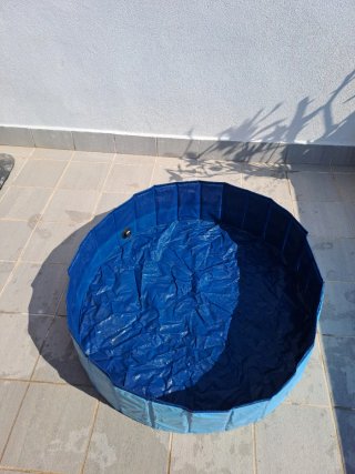 Piscina para mascotas azul