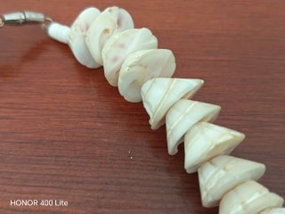 Collares de conchas marinas naturales
