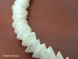 Collares de conchas marinas naturales