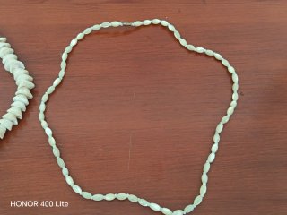 Collares de conchas marinas naturales