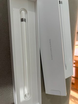 Apple Pencil Nuevo Sin Uso