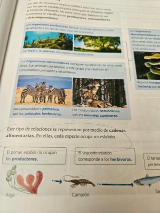 Ciencias de la Naturaleza 4, Segundo Ciclo Prim...