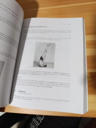 Luz sobre el Yoga