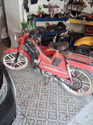 Recogida ciclomotores a 100 km